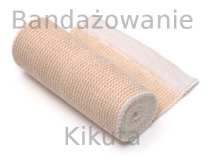 bandażowanie_kikuta_dobra_protezownia_protetyk_protetik_konstancin_protezownia_logo_ortotyka_proteza_nogi_ręki_gorset_do_leczenia_skolioz_olchy_5a_jak_działamy_dobra_polecana_najlepsze