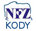 KODY_P bardzo_dobra_protezownia_protetyk_protetik_konstancin_protezownia_logo_ortotyka_proteza_nogi_ręki_gorset_do_leczenia_skolioz_olchy_5a_jak_działamy_dobra_polecana_najlepsze